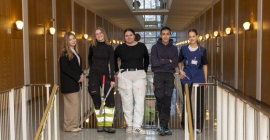 DSCF6783-scaled-aspect-ratio-540-280